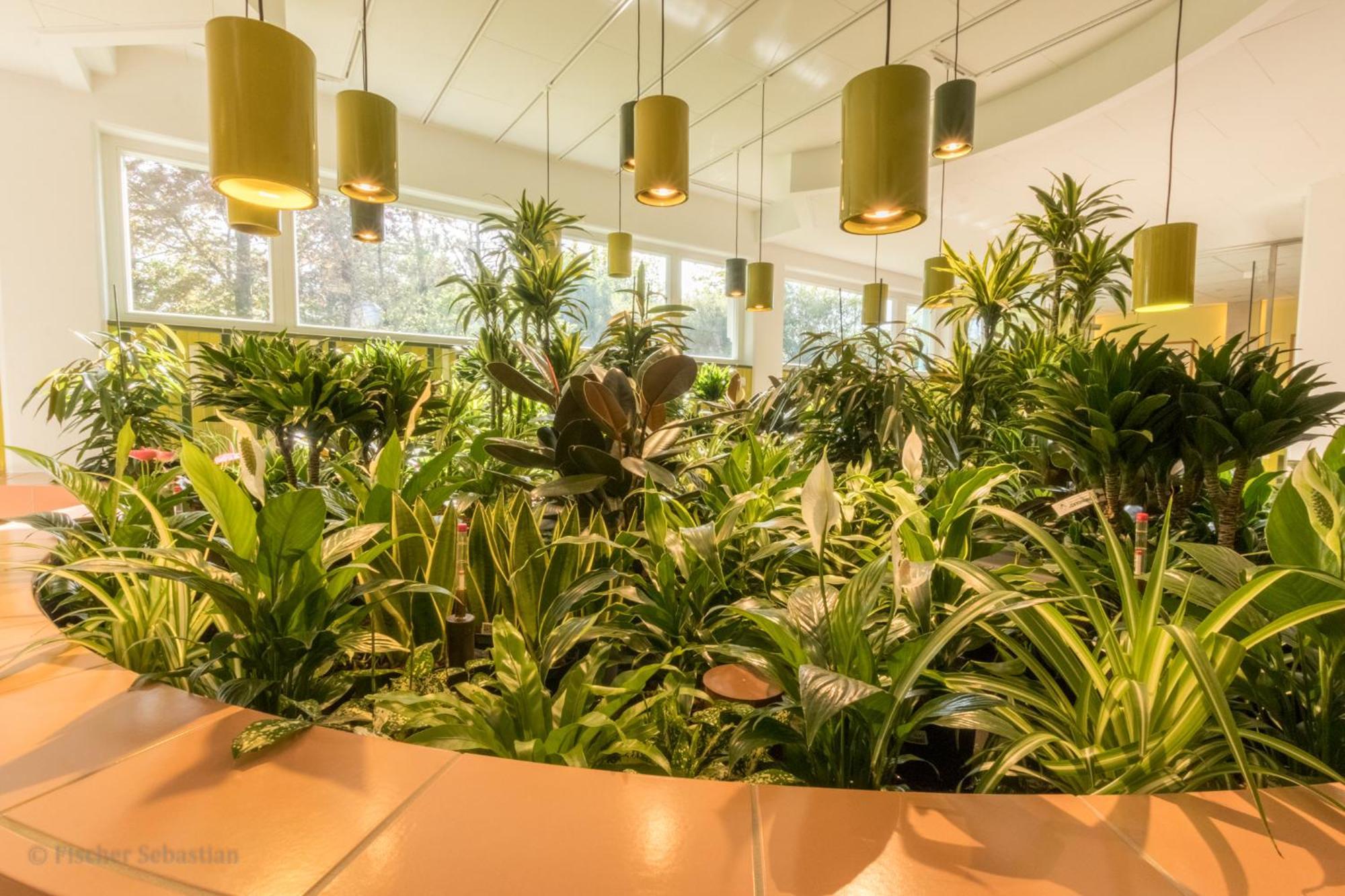 Romantik Hotel Namenlos Ahrenshoop Zewnętrze zdjęcie